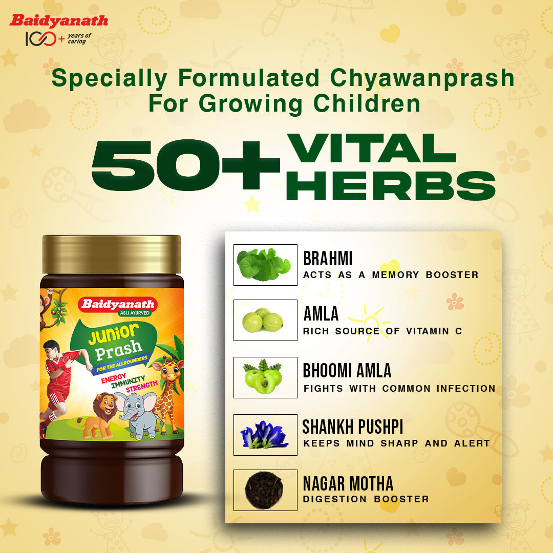 Baidyanath Junior Prash-Immunity Booster With Madhu