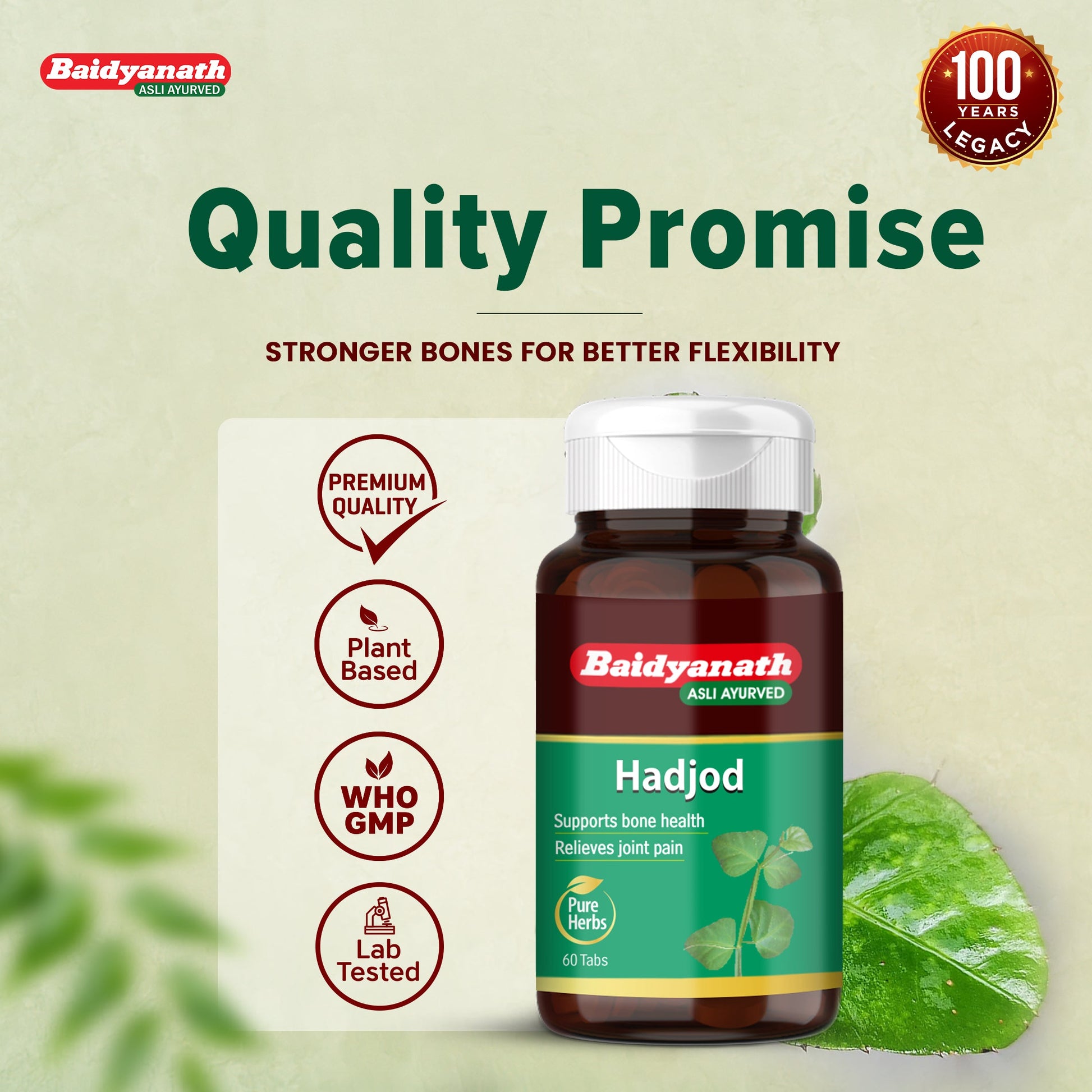 Baidyanath Hadjod 60 Tablet