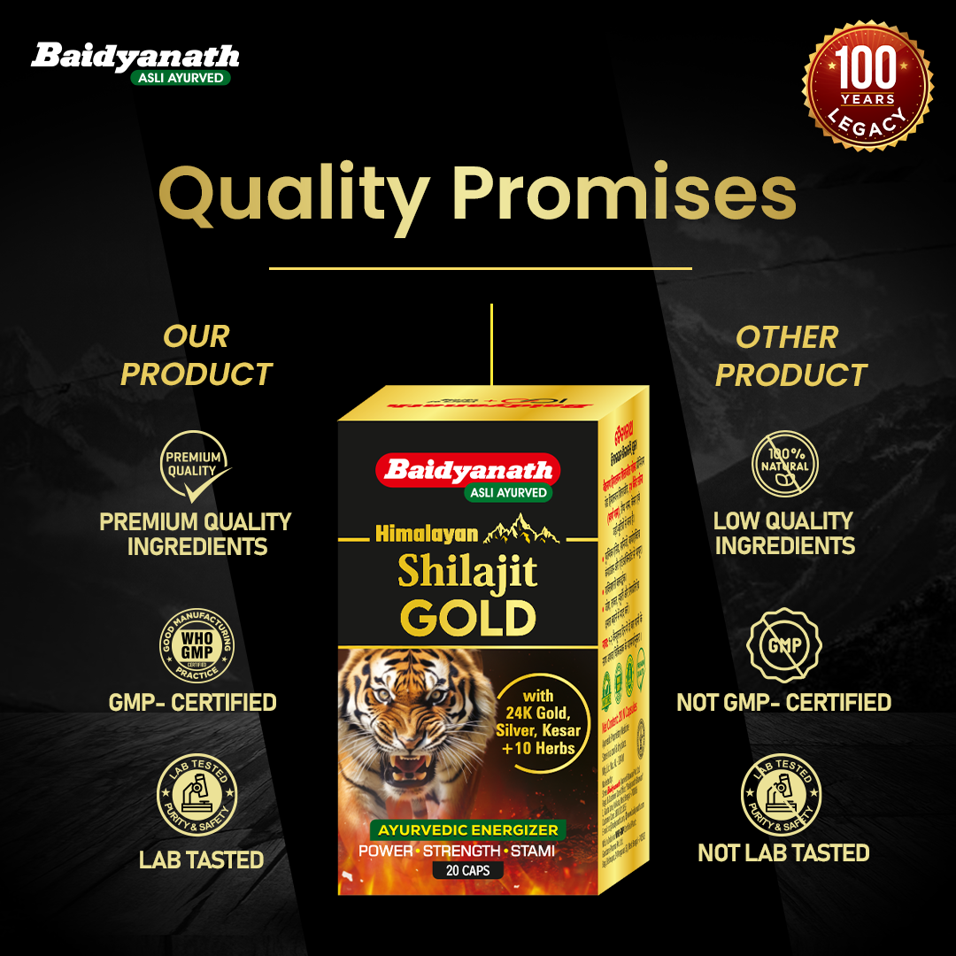 Baidyanath Shilajeet - 50 Tablets