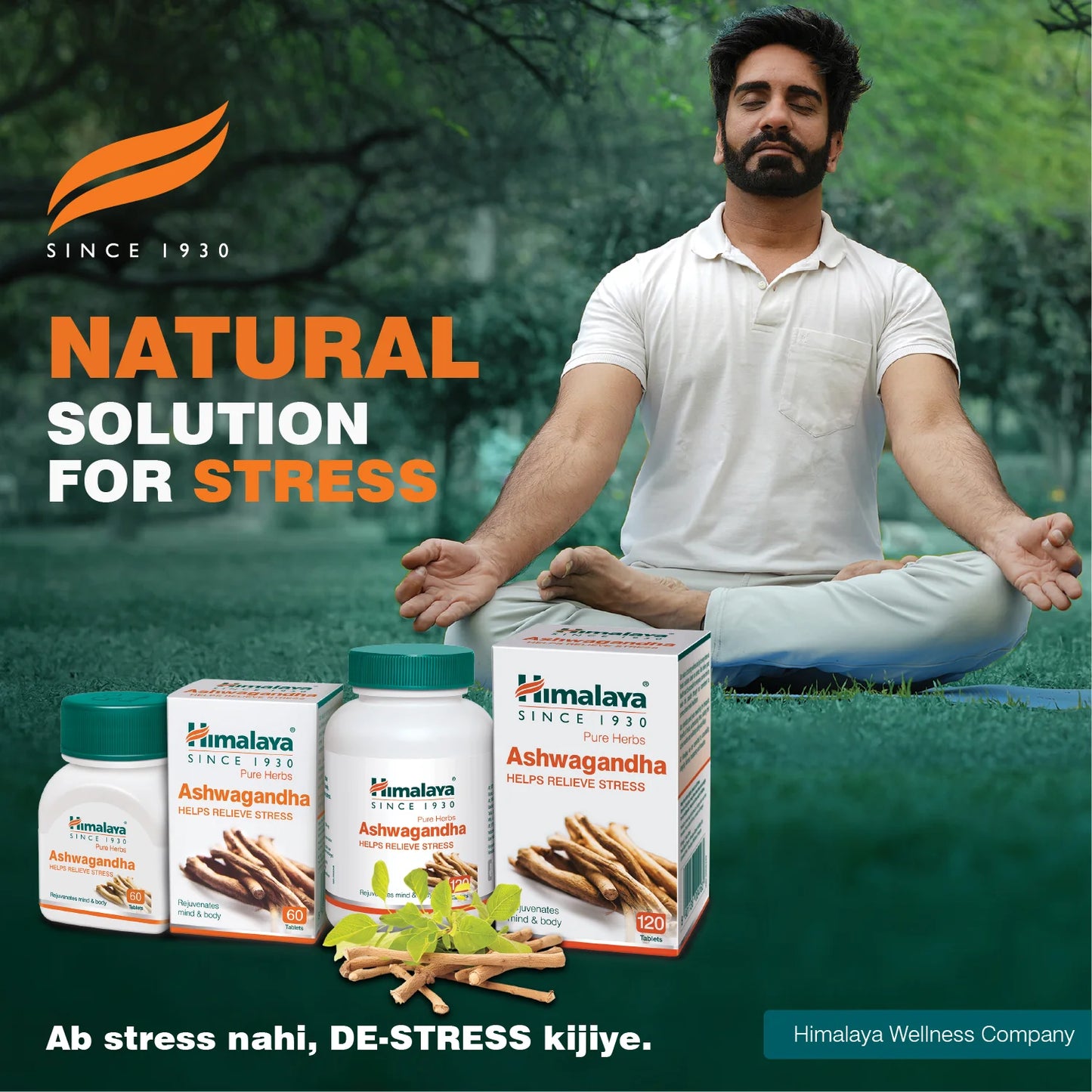Himalaya Wellness Company advertisement with a man meditating and natural products on a green background.