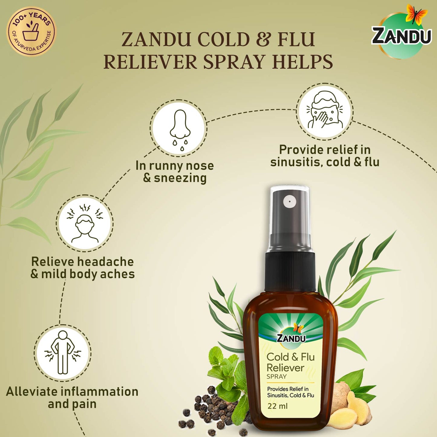Zandu Cold & Flu Nasal Spray 22ml