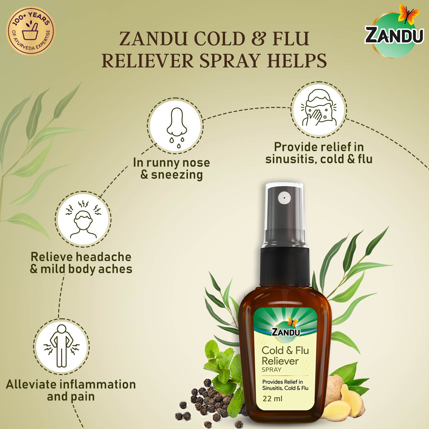 Zandu Cold & Flu Nasal Spray 22ml