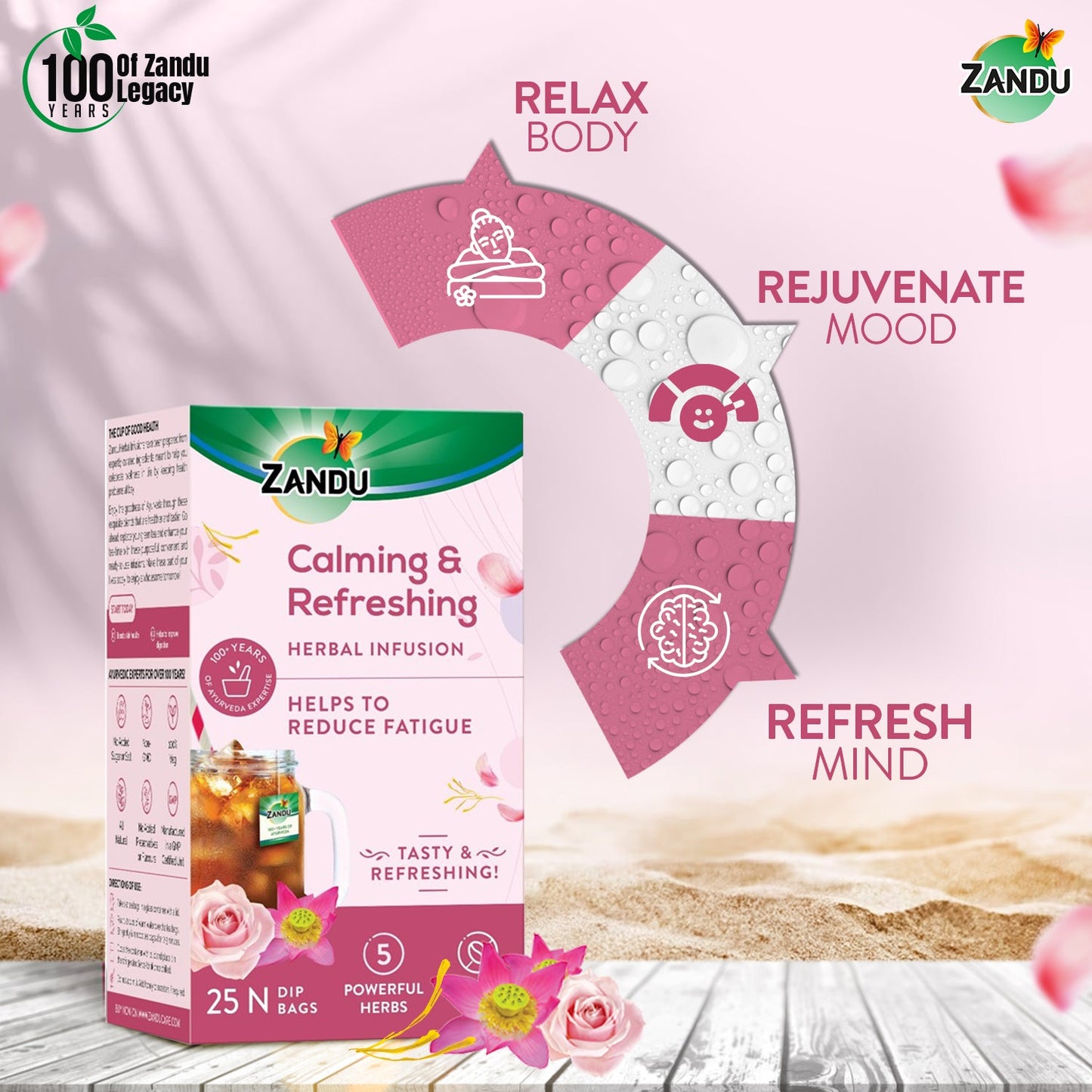 Zandu Calming & Refreshing Iced Tea (25 Teabags Pack Of 2)