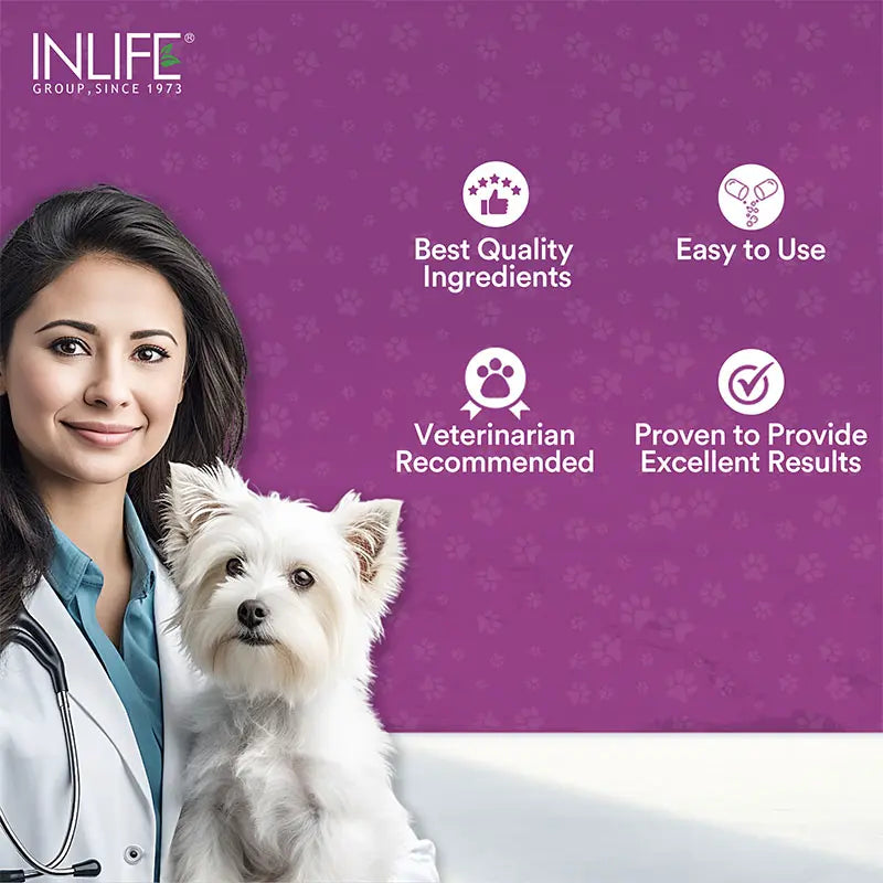 Inlife Milk Thistle Capsules for Dogs & Cats | 400mg | Veg. Capsules - 5