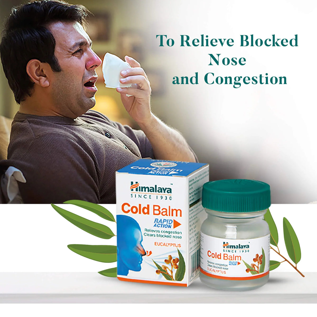 Biocold Balm Cold Balm 45g – ZEVIKA HEALTH
