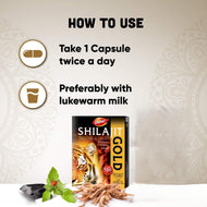 Dabur Shilajit Gold 10 Capsules