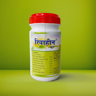 Dehlvi Riyaheen Churna 100gm (Pack of 2)