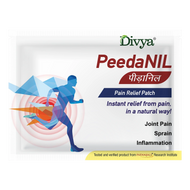 Divya Peedanil Pain Relief Patch 21g