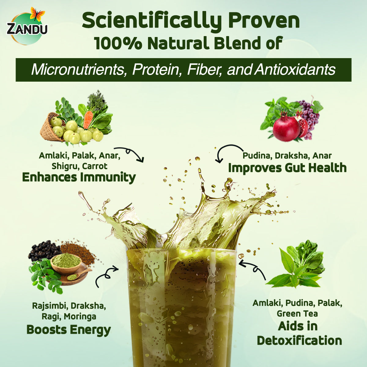 Zandu Daily Supergreens Powder Drink 250g