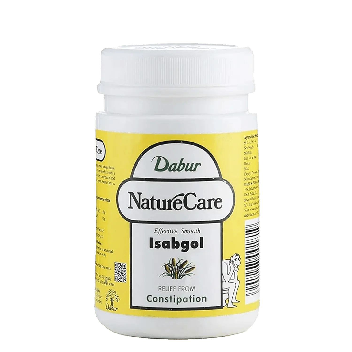 Dabur Nature Care Isabgol 100g (Pack Of 2)