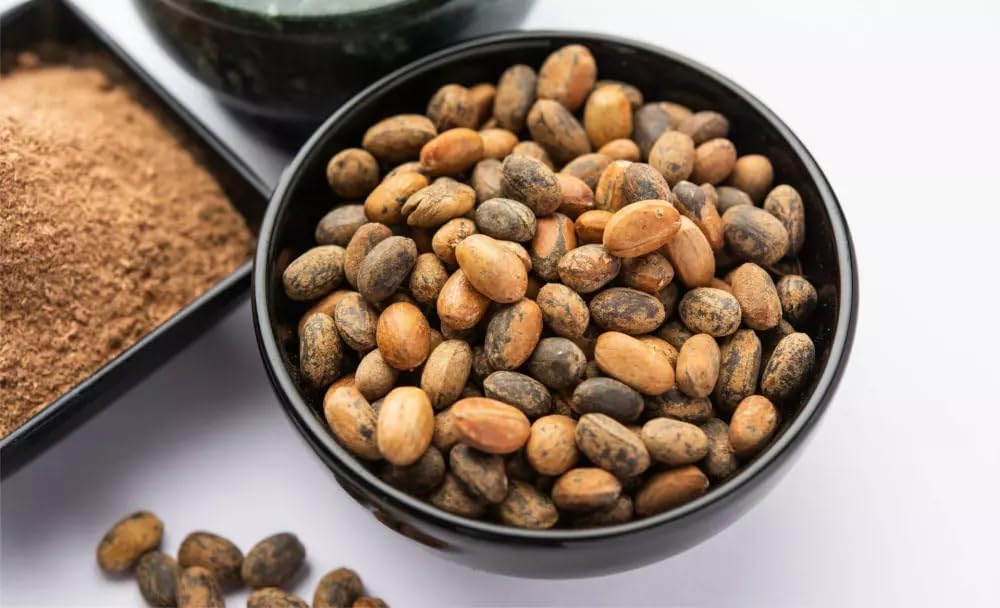 Fame Jamalghota Oil 30 ml (Pack Of 2)