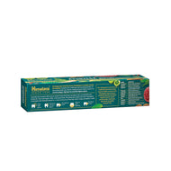 Himalaya Ayurveda Gum Care Toothpaste 150g