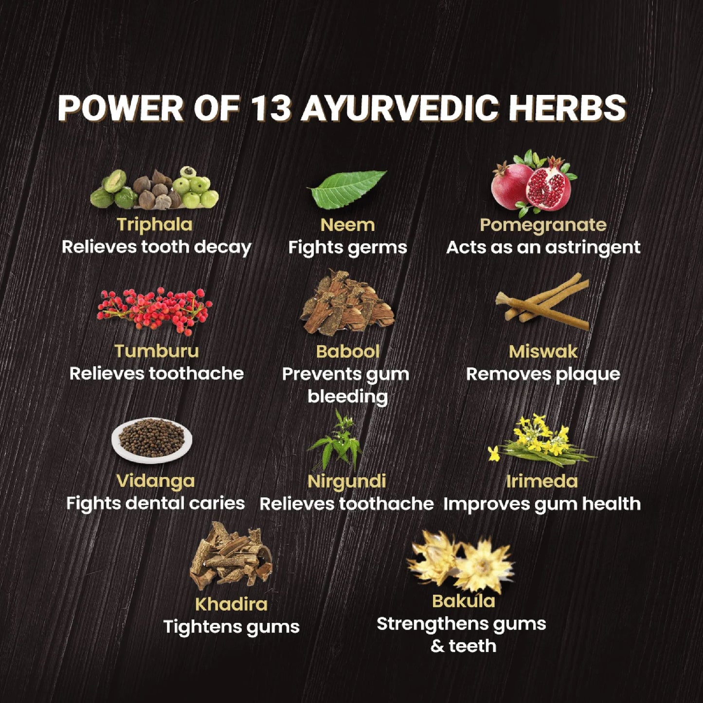 Illustration of 13 Ayurvedic herbs with their health benefits on a dark background