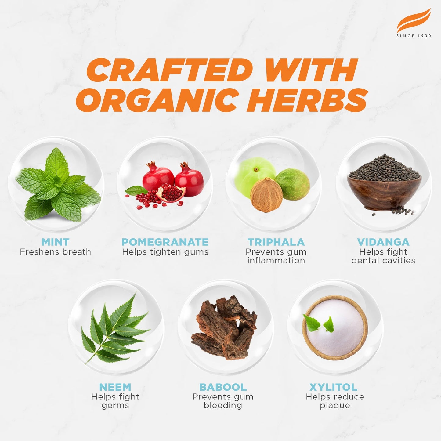 Display of organic herbs with their benefits on a white background