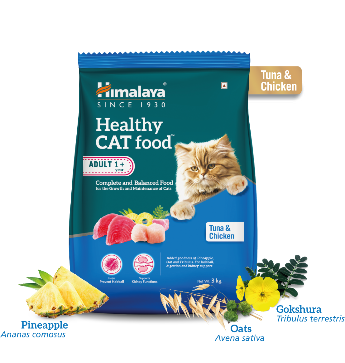 Healthy CAT food Adult - Tuna and Chicken