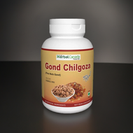 Herbal Canada Gond Chilgoza 50gm