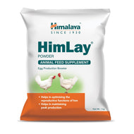 HimLay