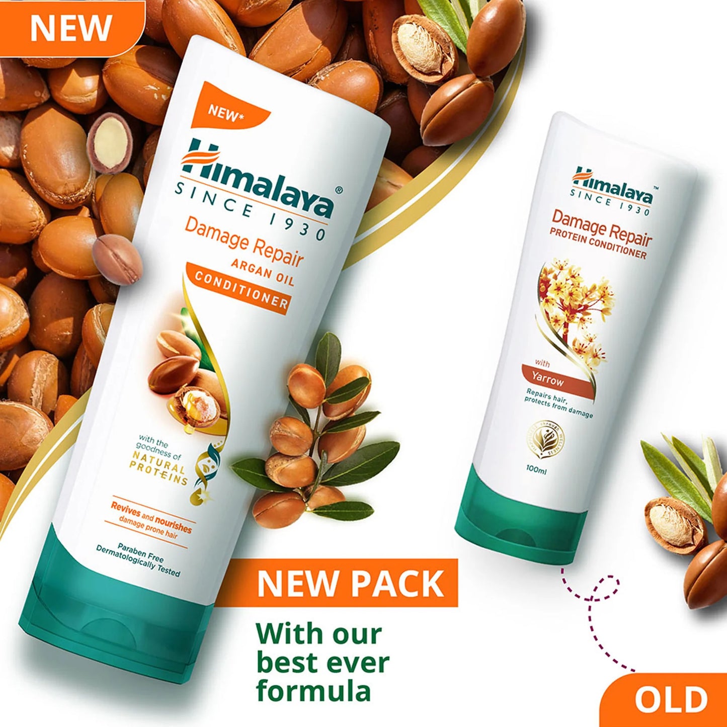 Himalaya Damage Repair Argan Oil Conditioner bottle with argan seeds on a white background