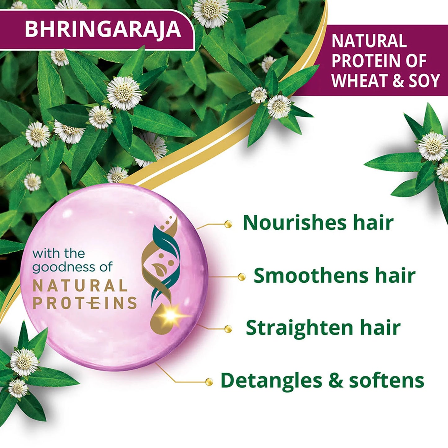 Bhringaraja hair product with green leaves and flowers on a white background
