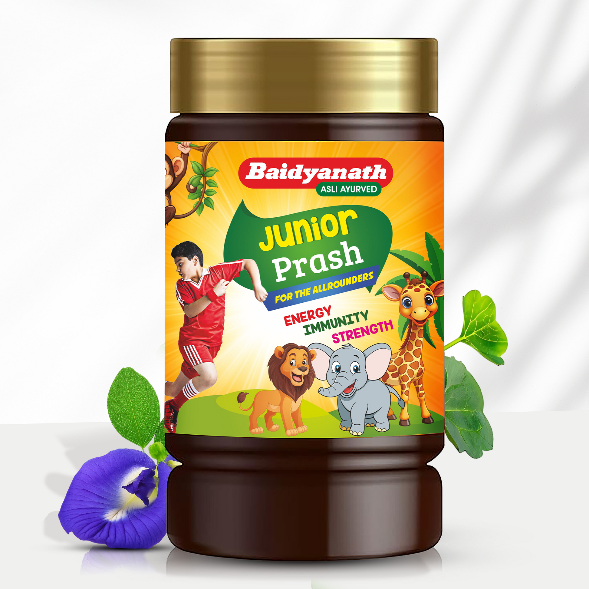 Baidyanath Junior Prash 1Kg
