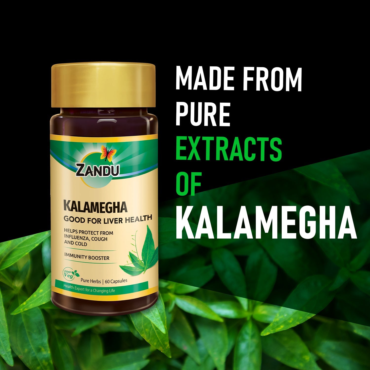 Zandu Pure Kalamegha 60 Capsules