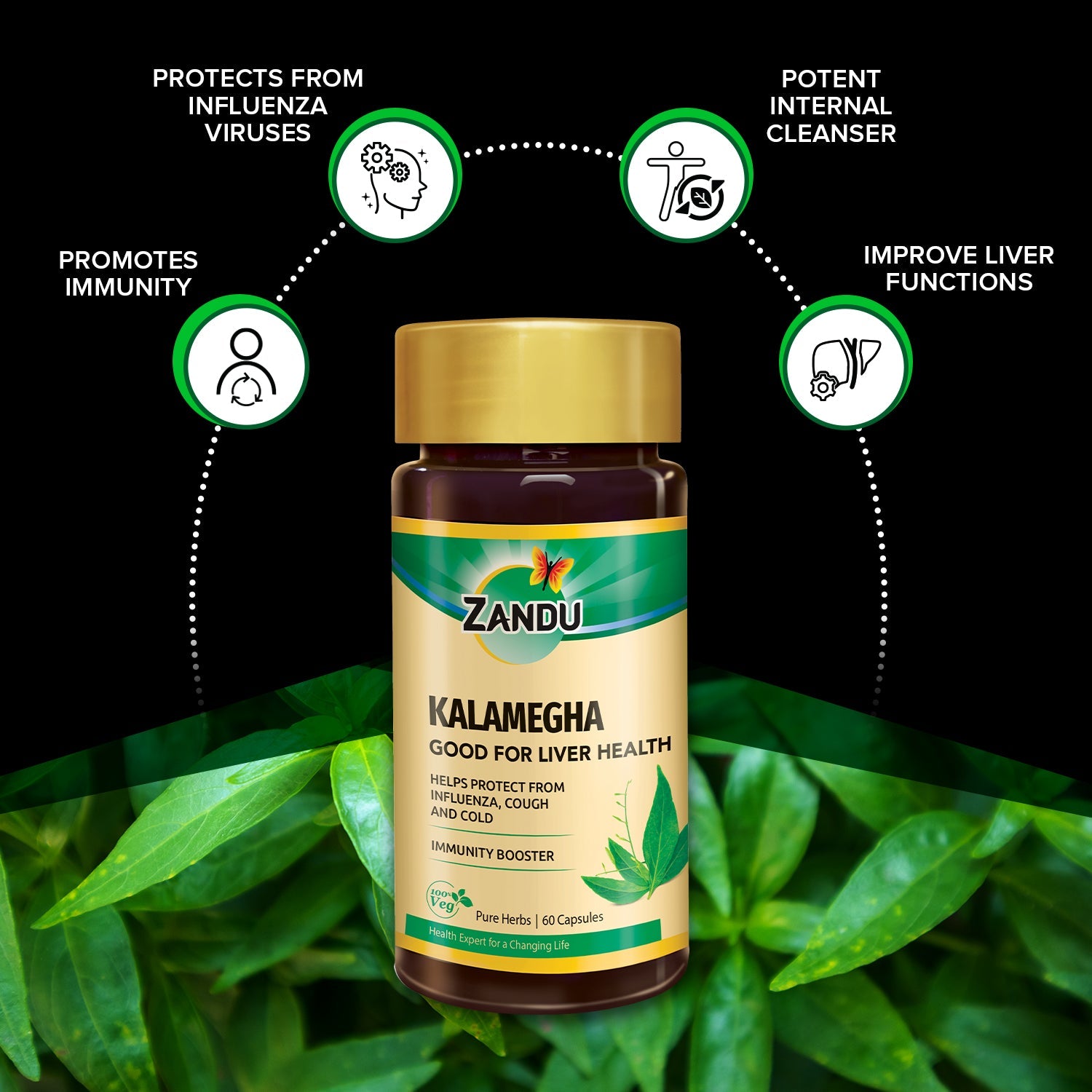 Zandu Pure Kalamegha 60 Capsules