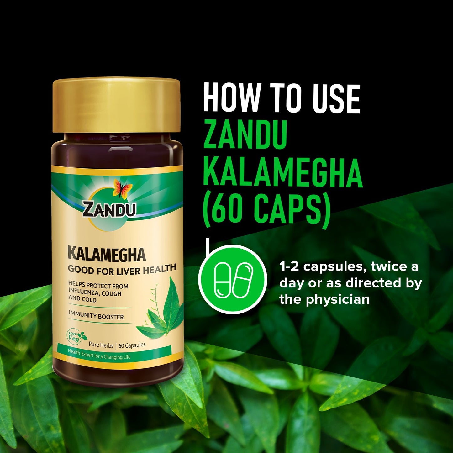 Zandu Pure Kalamegha 60 Capsules