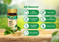 Zandu Karela 60 Capsules