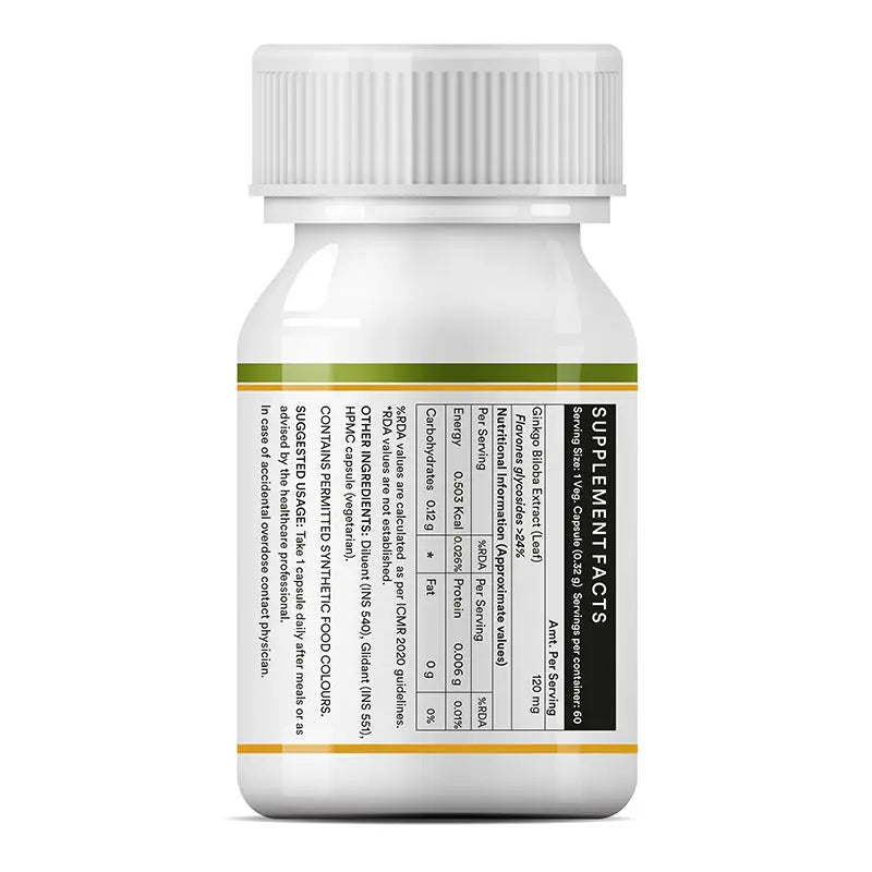 Inlife Ginkgo Biloba Supplement, 120mg | Veg. Capsules - 6