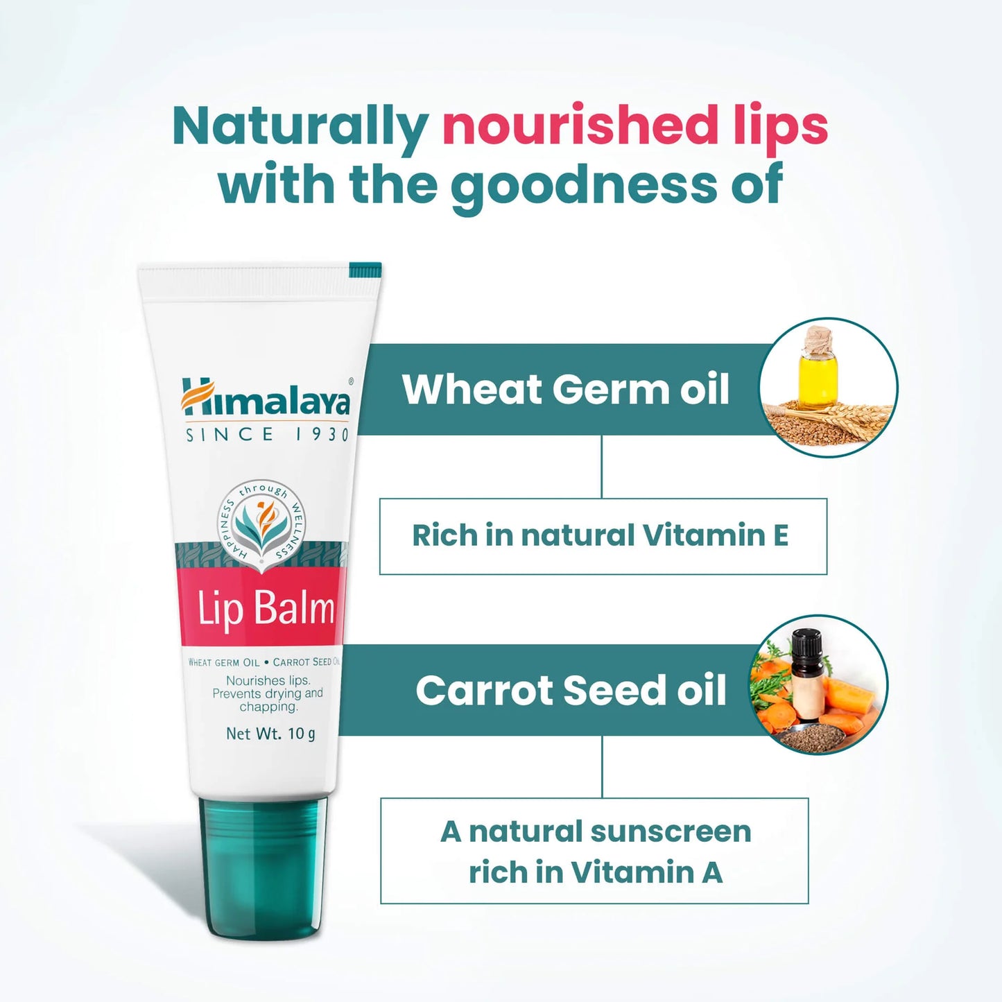 Himalaya lip balm tube with ingredients listed on a light blue background