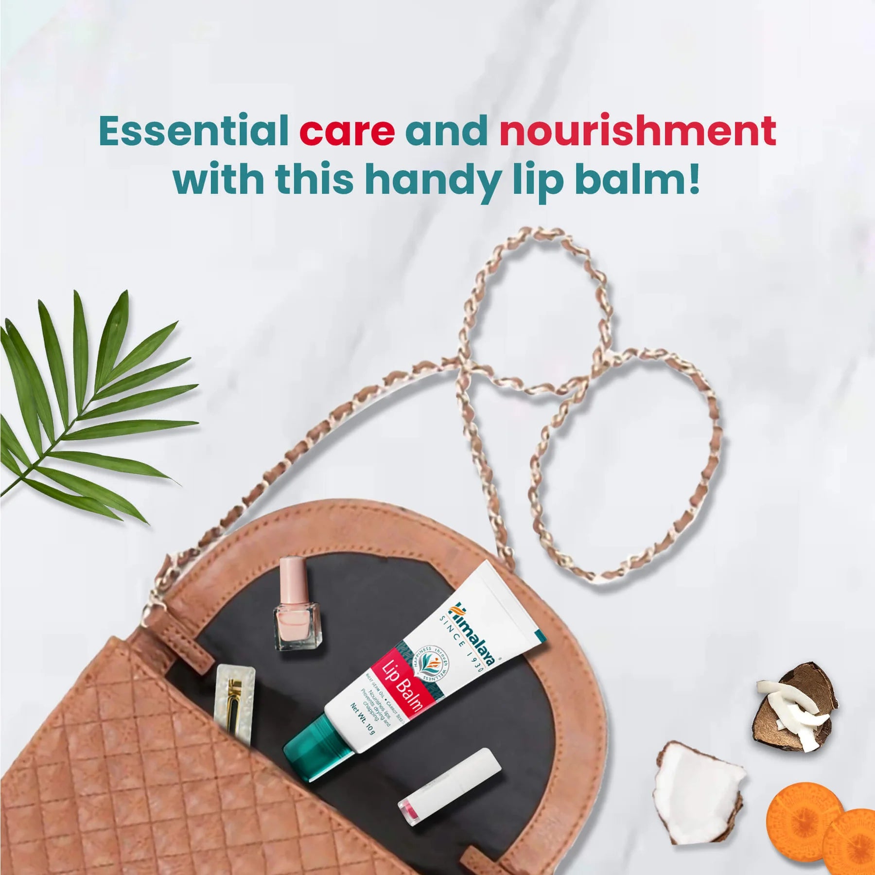 Lip Balm 10g (Pack Of 4)