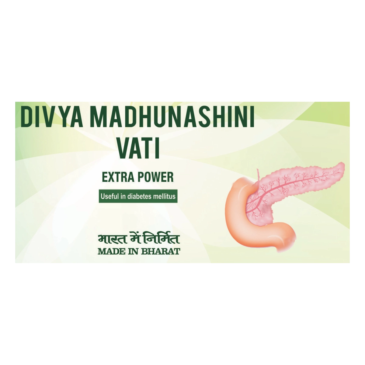 Divya Madhunashini Vati Extra Power 120 Tablets