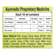 Patanjali Mango Panna 750ml