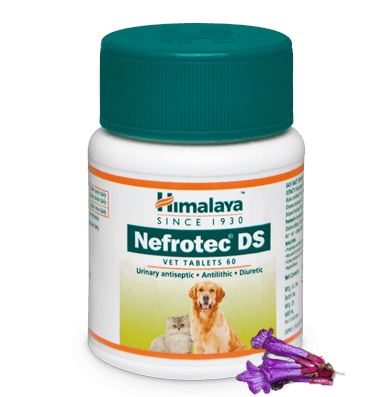 Nefrotec DS Vet 60 Tablets