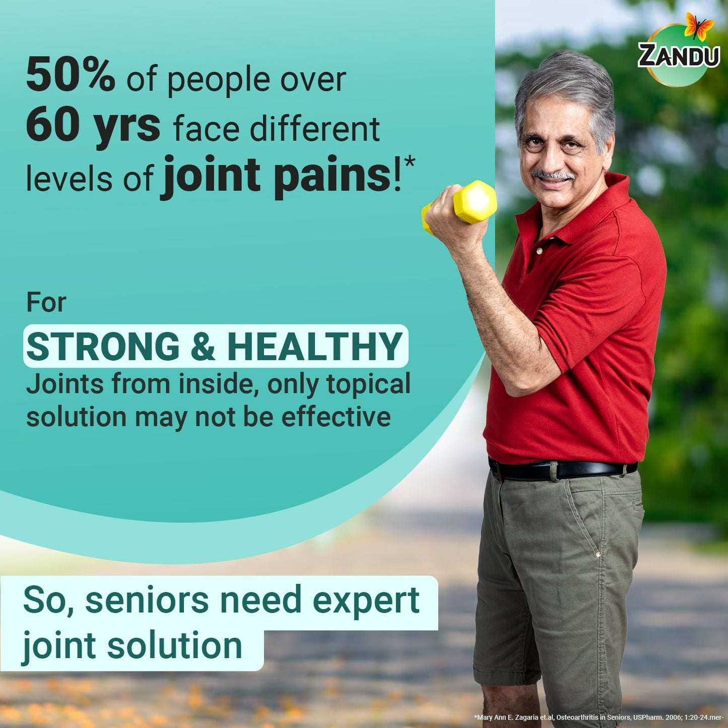 Zandu Seniorz Complete Joint Expert 60 Tablets