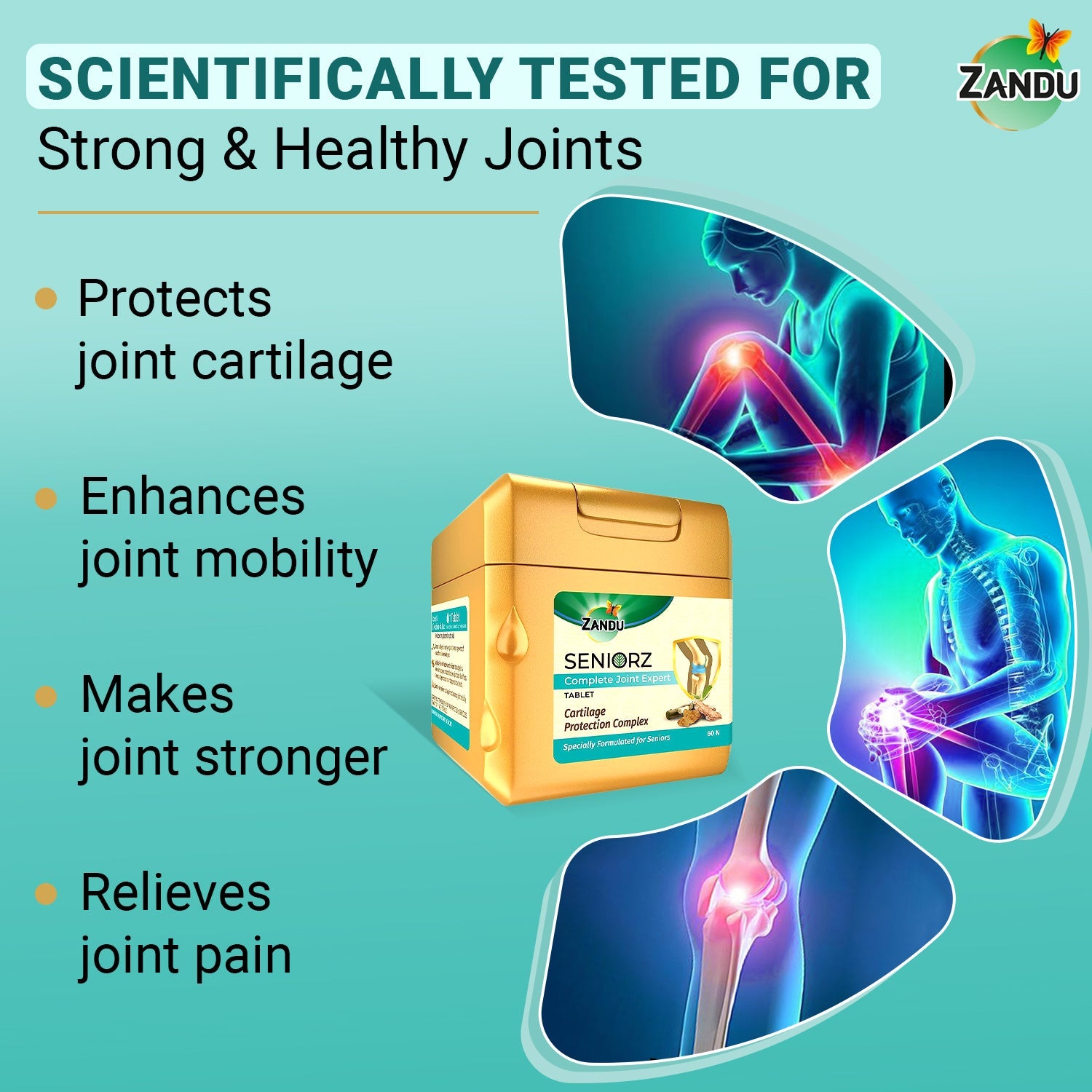 Zandu Seniorz Complete Joint Expert 60 Tablets