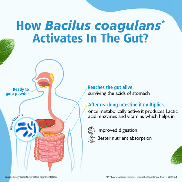Siens By Dabur Daily Pre & Probiotics For Gut health