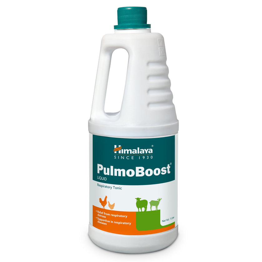PulmoBoost