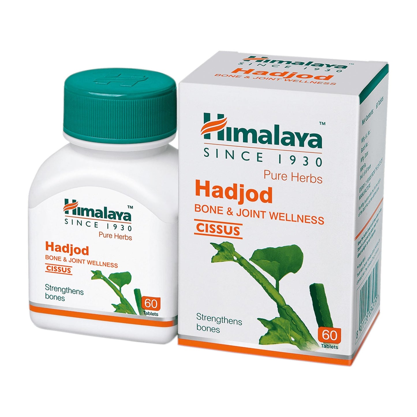 Hadjod