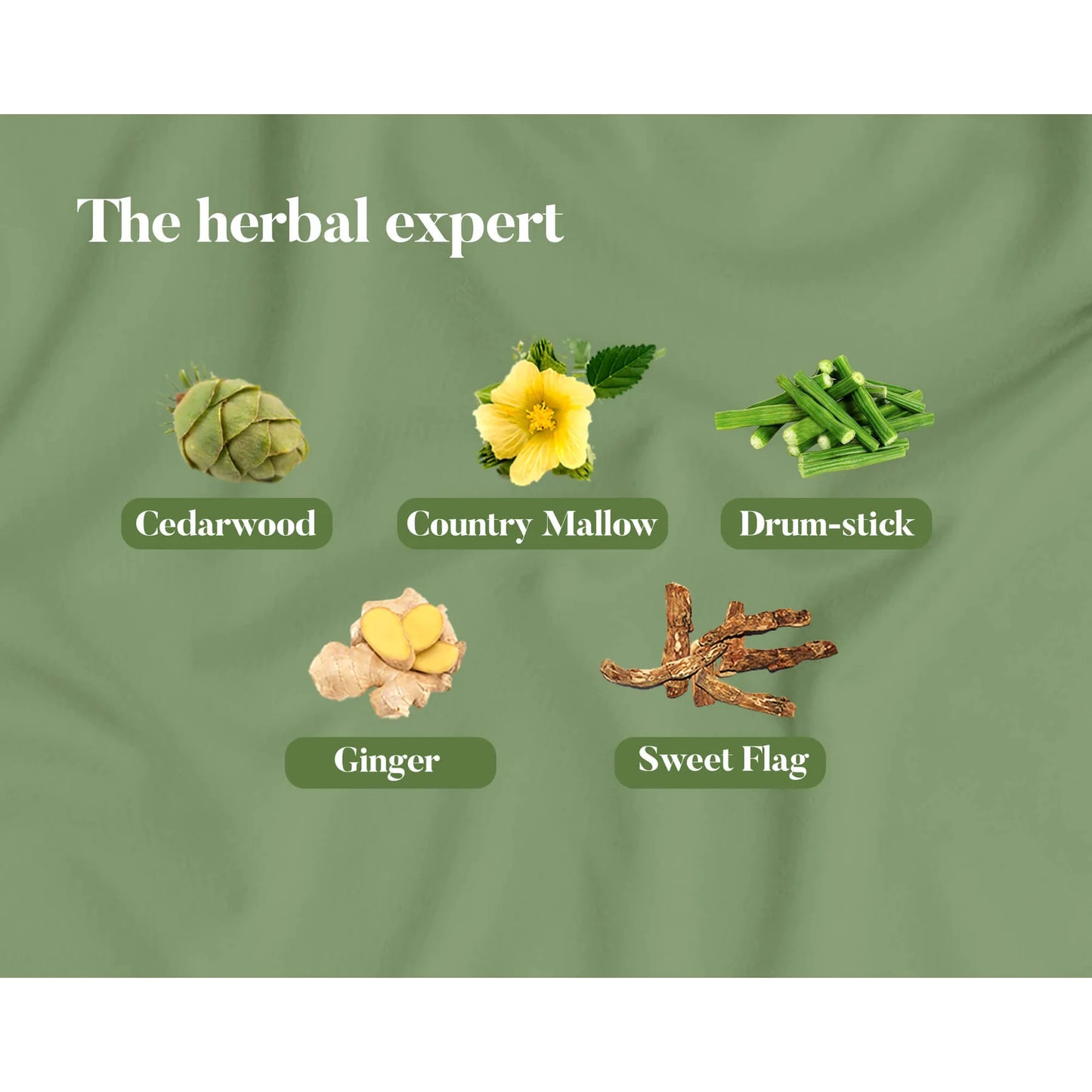 Herbal items with labels on a green background