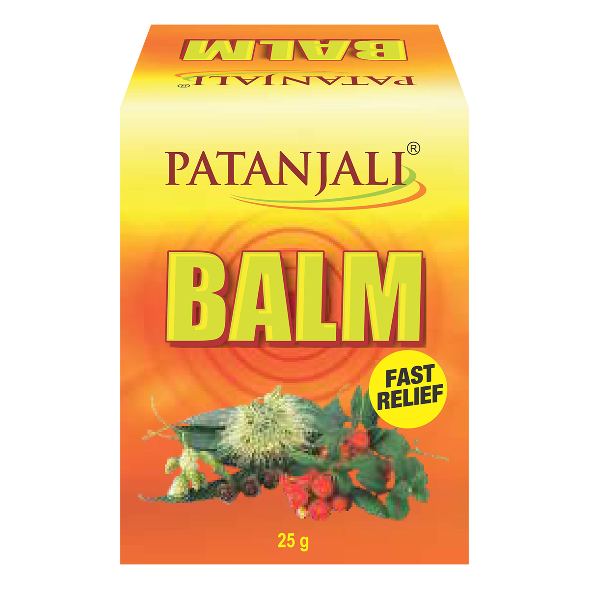 Patanjali Balm 25g