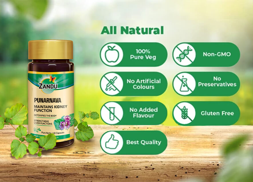 Zandu Punarnava Pure Extract 60 Capsules