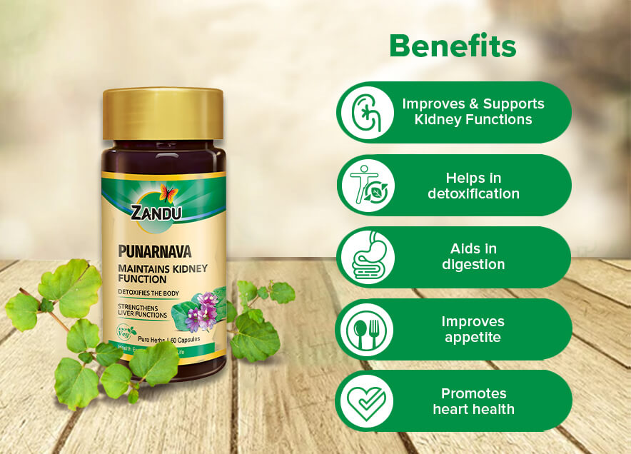 Zandu Punarnava Pure Extract 60 Capsules