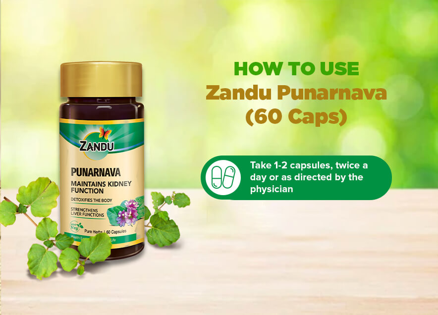Zandu Punarnava Pure Extract 60 Capsules