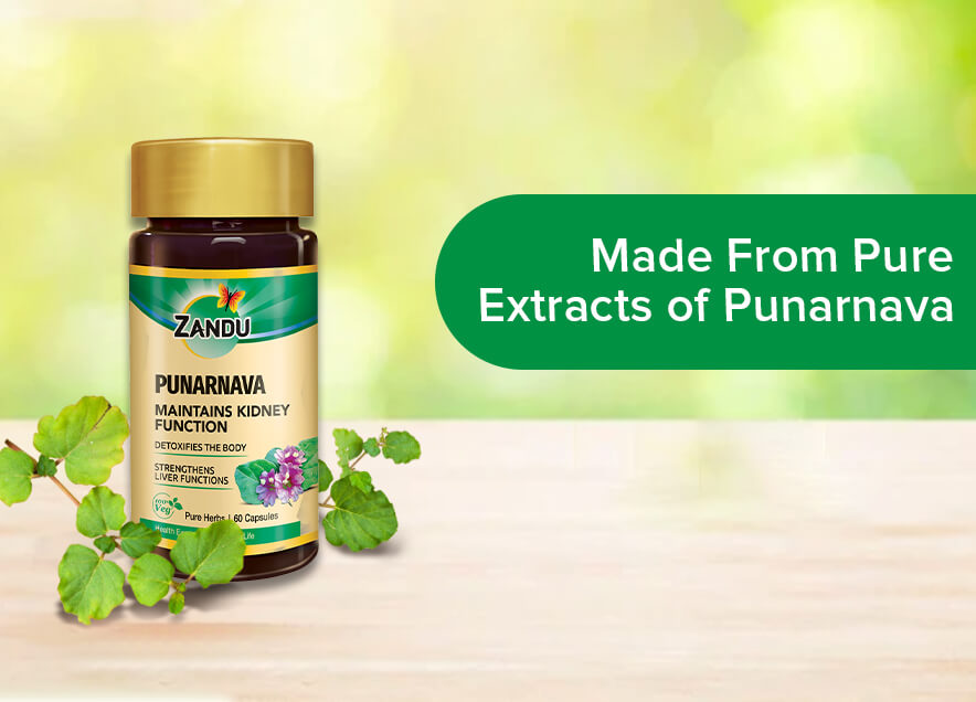 Zandu Punarnava Pure Extract 60 Capsules