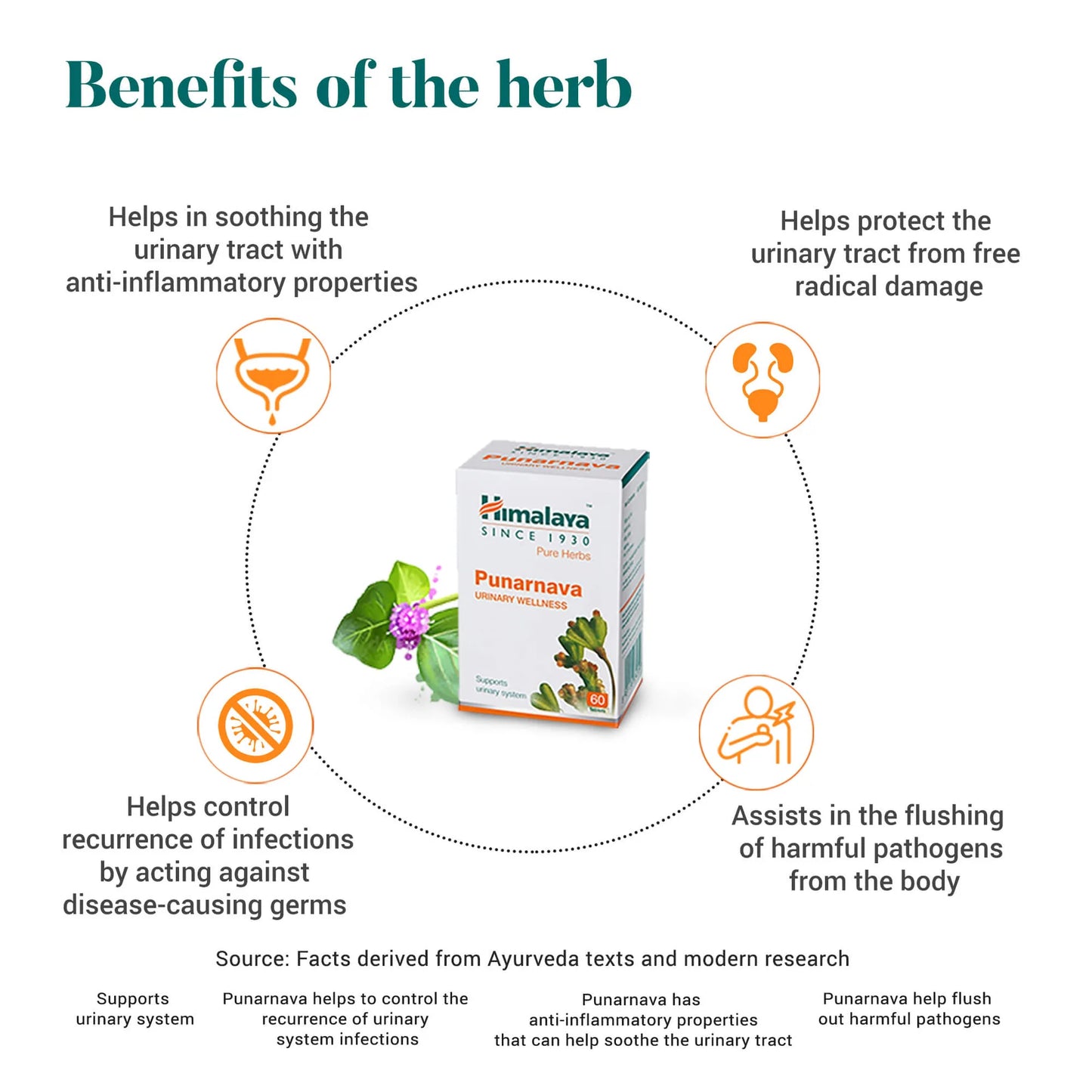 Himalaya Punarnava product with benefits listed on a white background