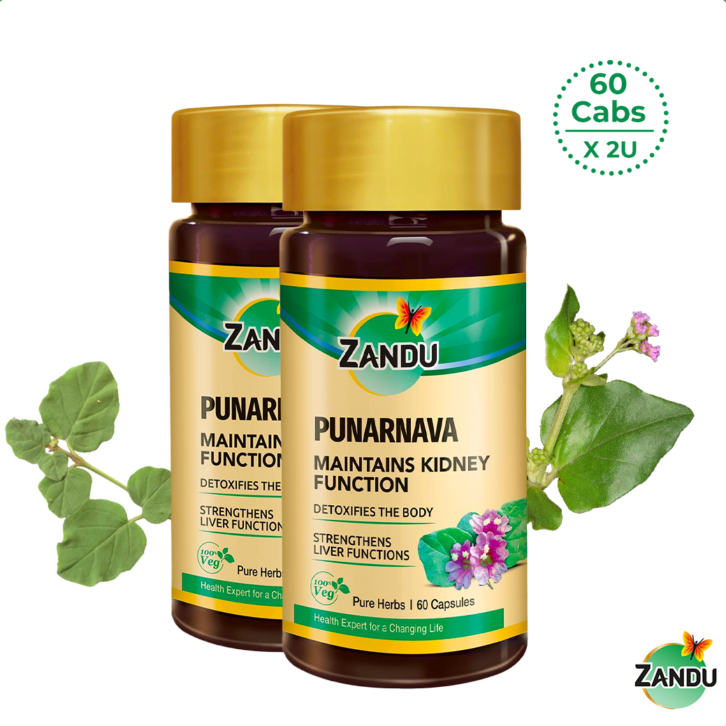 Zandu Punarnava Pure Extract 60 Capsules