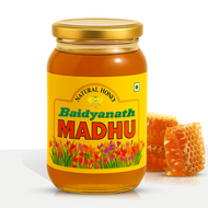 Baidyanath Honey Madhu