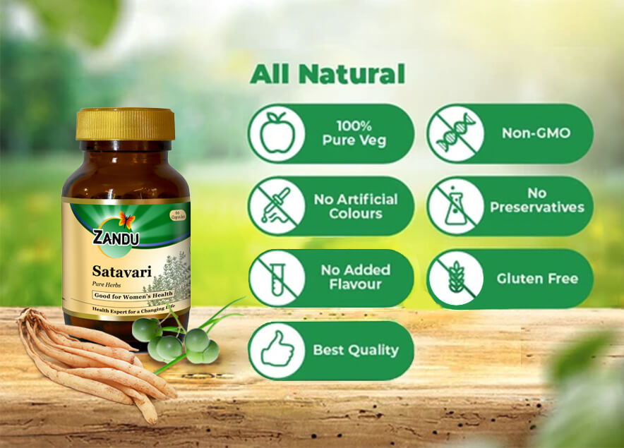Zandu Satavari Lactation 60 Capsules