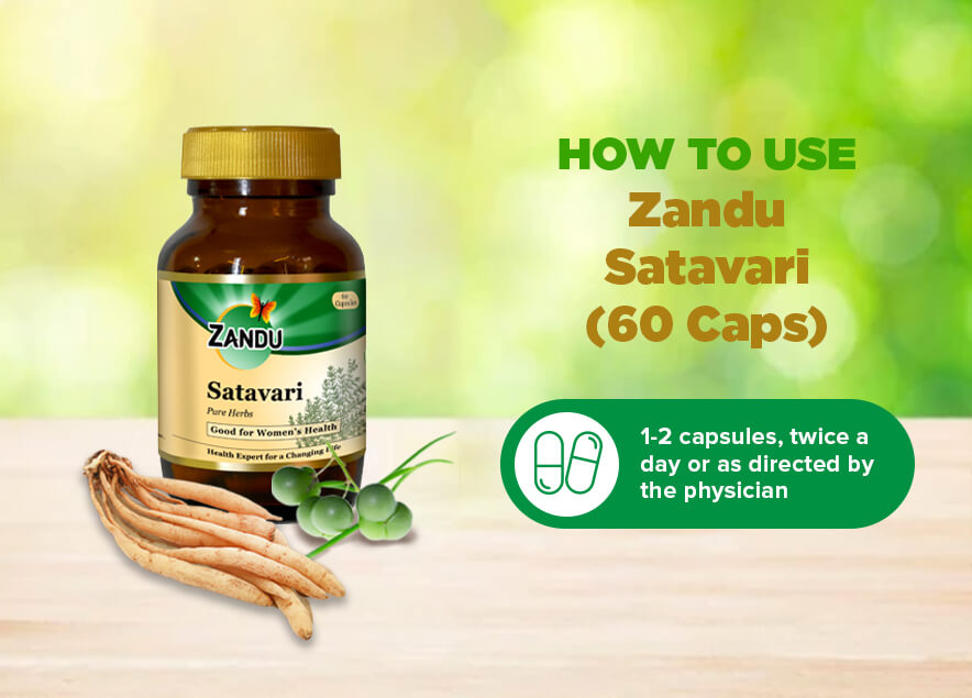 Zandu Satavari Lactation 60 Capsules